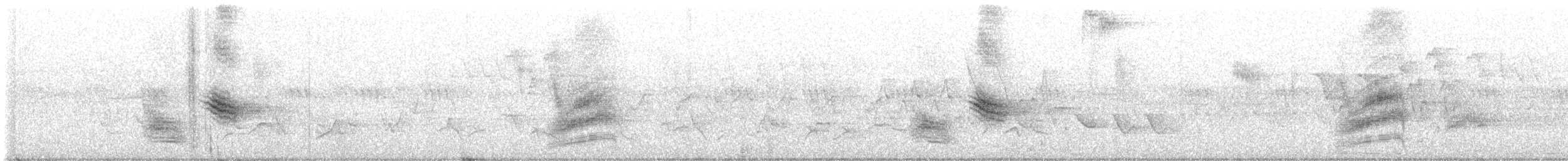 Тауї плямистий/східний - ML620079349