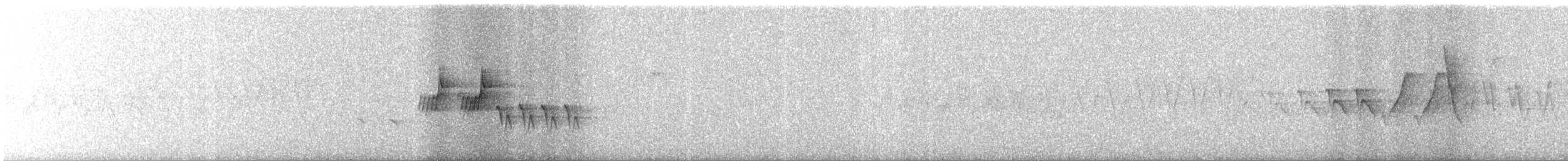 Черногорлая хвойница - ML620080825