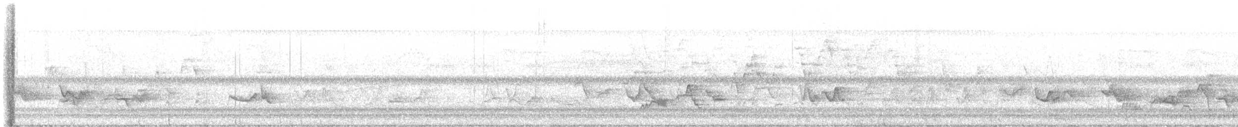 Дрізд-короткодзьоб Cвенсона - ML620081930