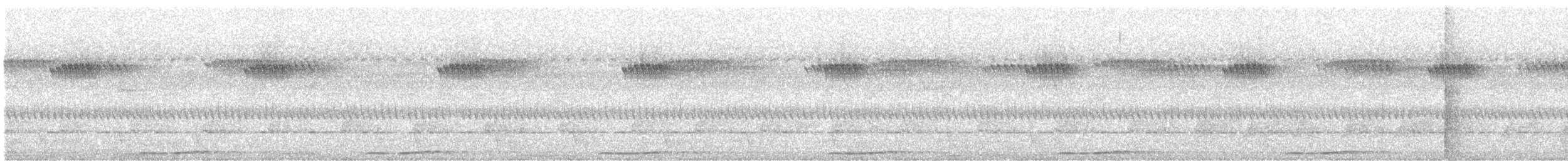 Сова-голконіг далекосхідна - ML620084126