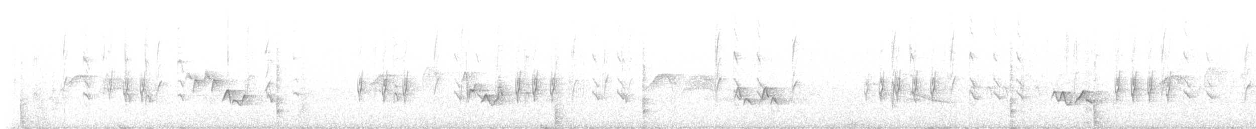 Шишкар ялиновий - ML620084536