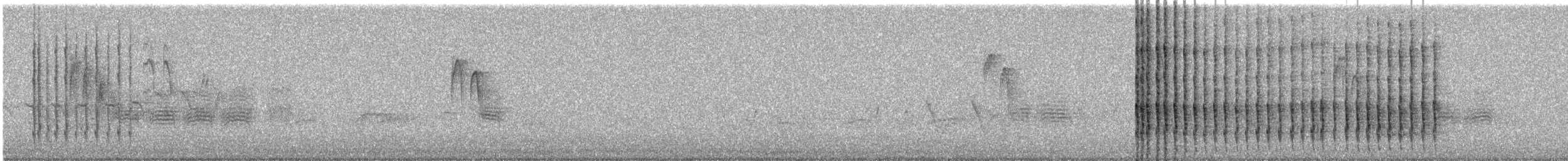 Опоясанный зимородок - ML620084769