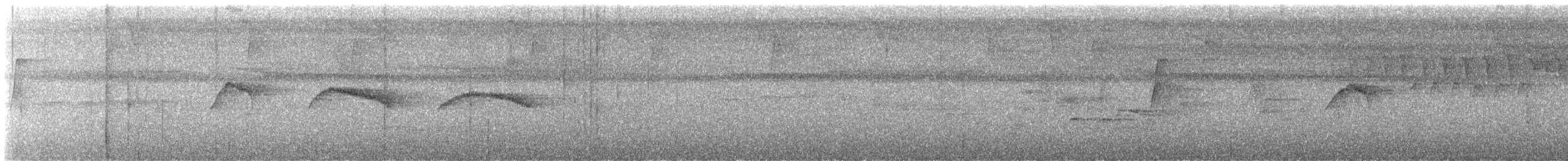Светлогорлый тенелюб - ML620085965