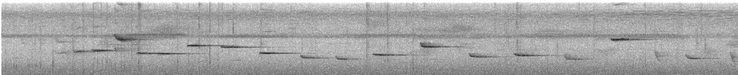 Troglodyte philomèle - ML620085973