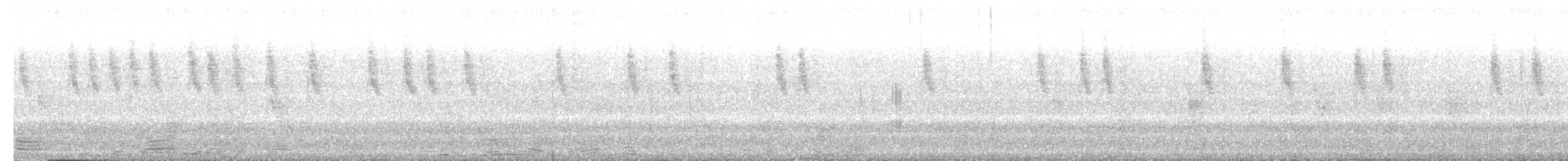 セグロセキレイ - ML620086184