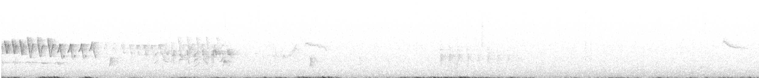 Пеночковый виреон (arizonae) - ML620086276