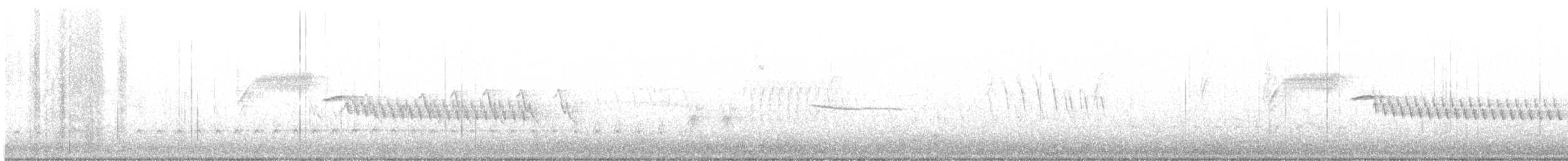 Длиннохвостый крапивник [группа mexicanus] - ML620086538