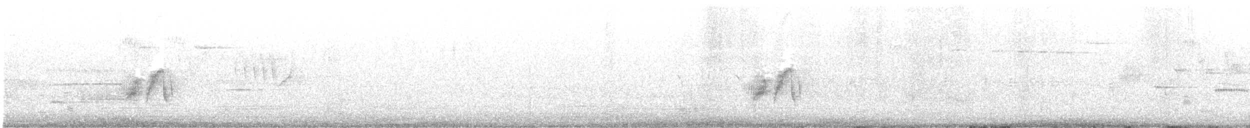 tyranovec olšový - ML620086546