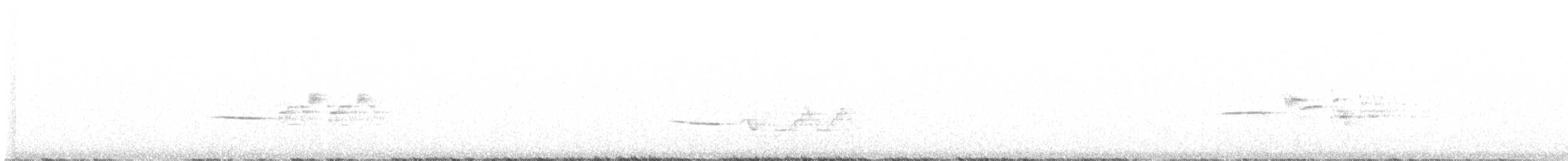 eremittskogtrost (auduboni gr.) - ML620086909