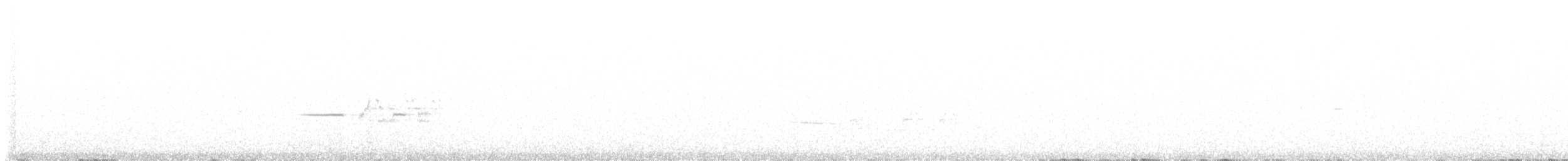 Münzevi Bülbül Ardıcı [auduboni grubu] - ML620086911