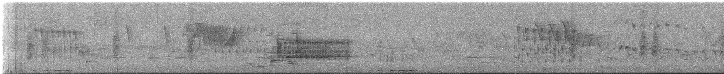 אנפית-גמדית אמריקנית - ML620087598