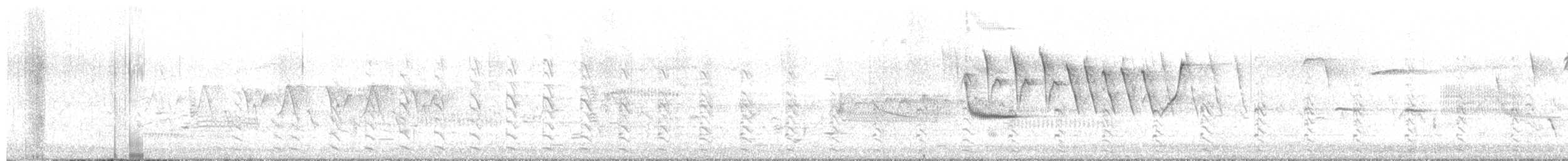 Common Gallinule - ML620087655