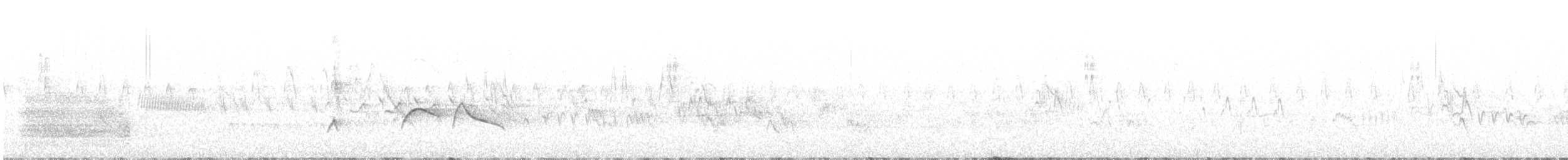 Olivflanken-Schnäppertyrann - ML620087999