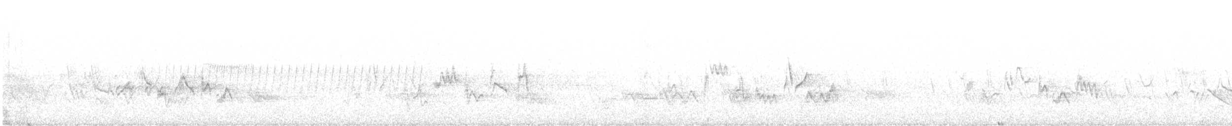 Warbling Vireo (Western) - ML620088059