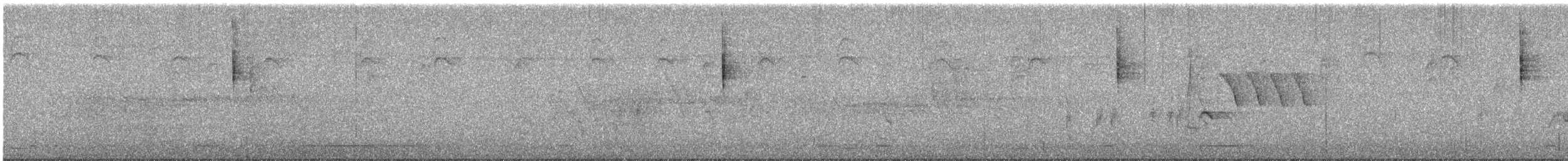 Troglodyte de Bewick - ML620088097
