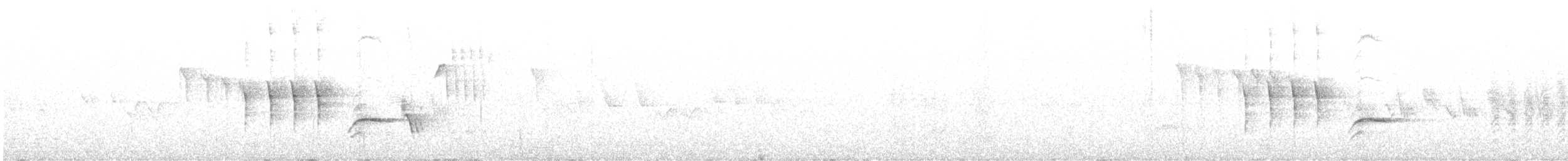 Тауї плямистий - ML620088713