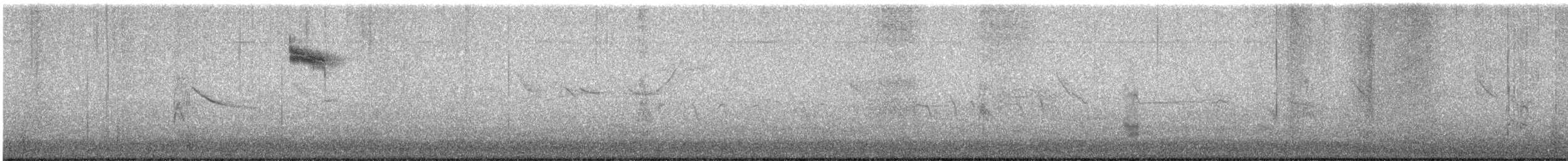 Алленов колибри - ML620089588