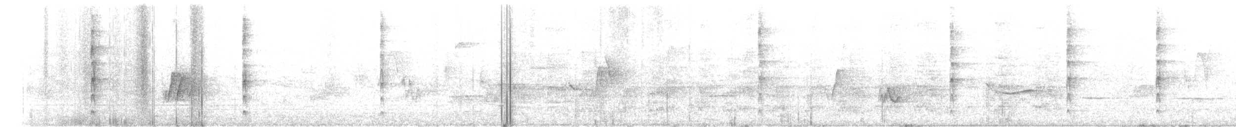 Çizgili Büyük Tiran - ML620090360