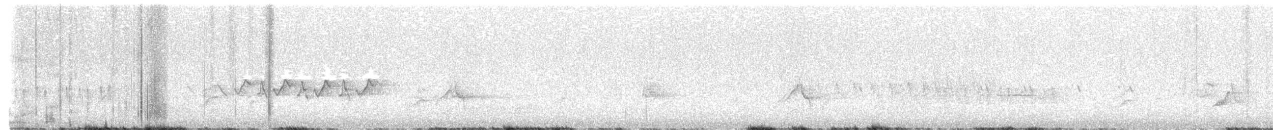 Белокрылая канделита - ML620090602