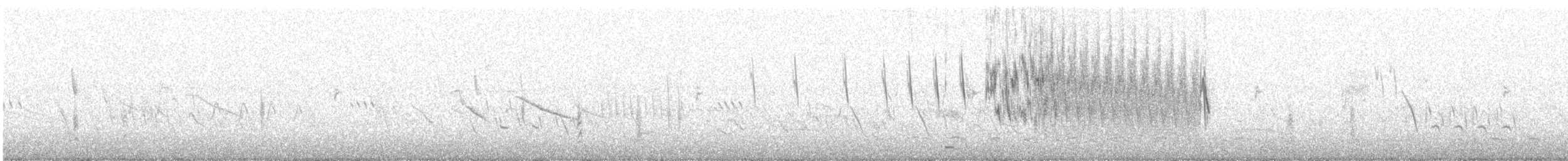 Pipit du Pérou - ML620091105