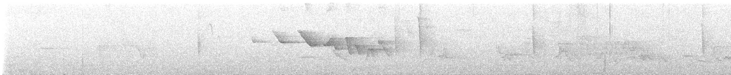 Трясогузковый певун - ML620091581