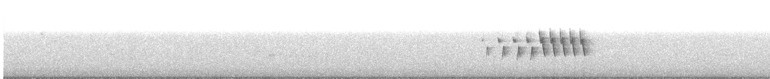 Paruline à calotte noire - ML620093181