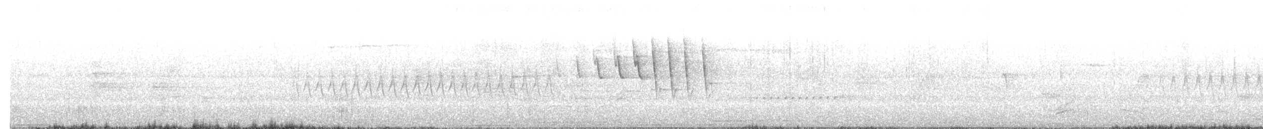 ウィルソンアメリカムシクイ - ML620093863