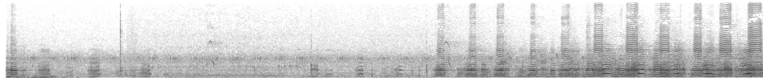 Magpie Goose - ML620093939