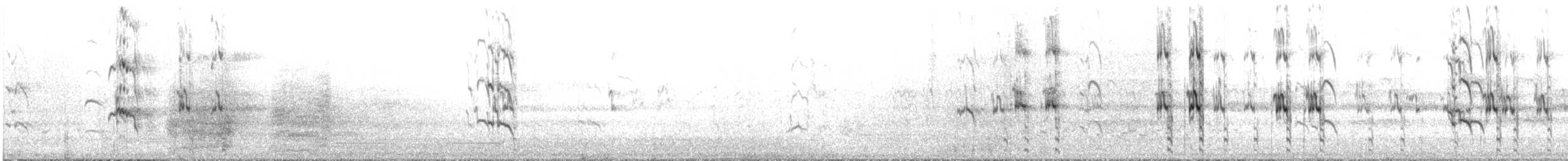 kakadu růžový - ML620094388