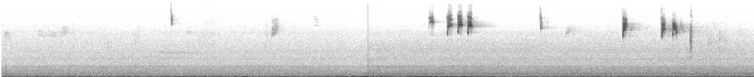 Roststirn-Dornschnabel - ML620094400