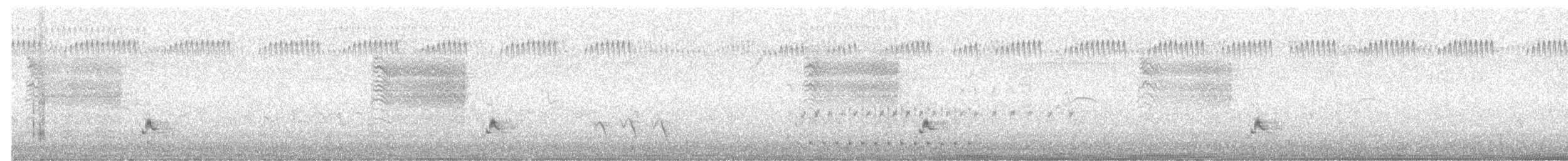 holub chocholatý - ML620095291