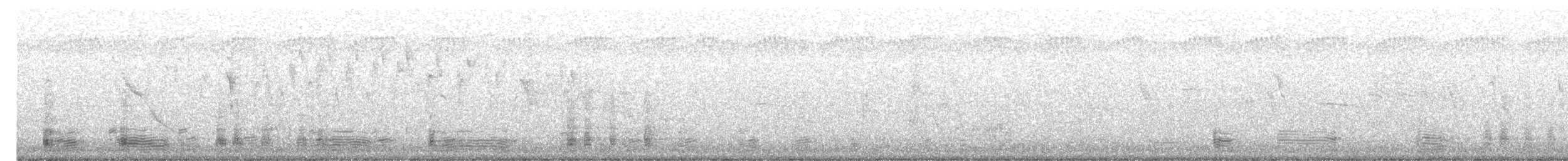 Молуккский ибис - ML620095520