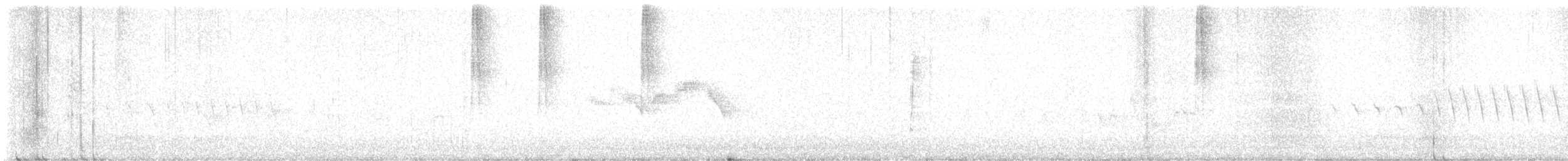 Black-throated Gray Warbler - ML620096011