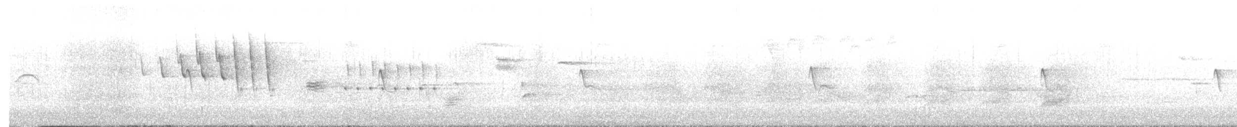 クロツキヒメハエトリ - ML620096209