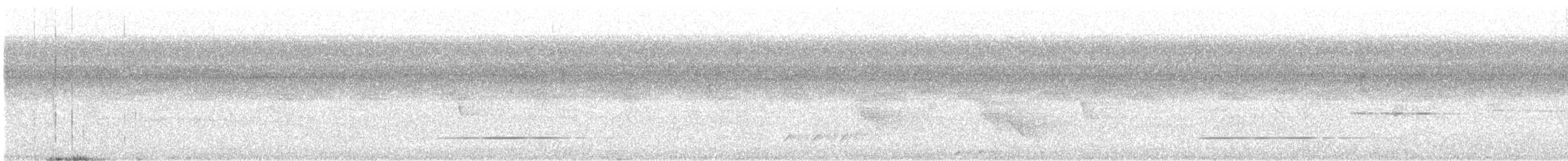 Серый скрытохвост - ML620096426