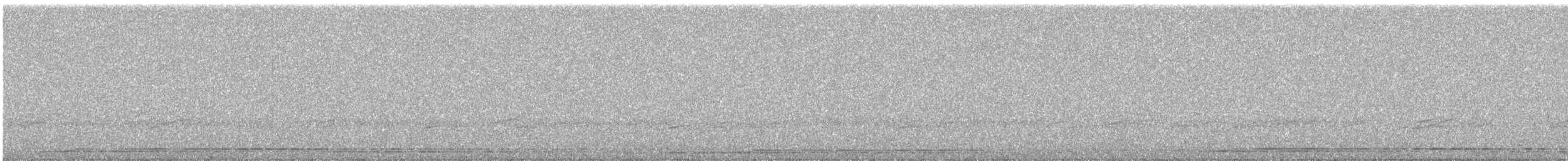 Черноклювая гагара - ML620099281