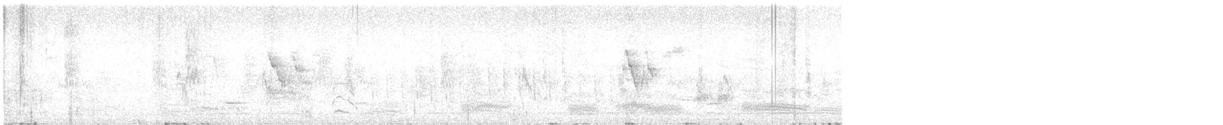 White Wagtail - ML620099353