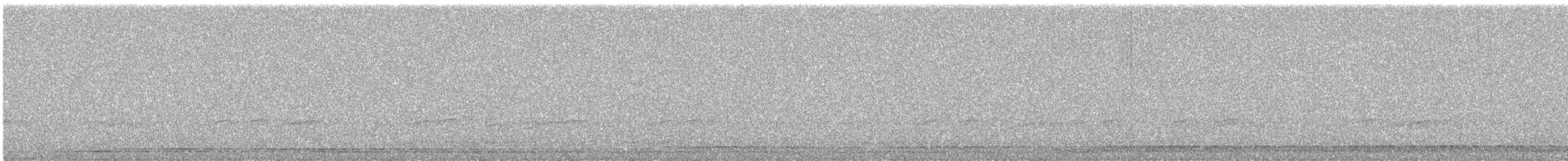 Черноклювая гагара - ML620099432