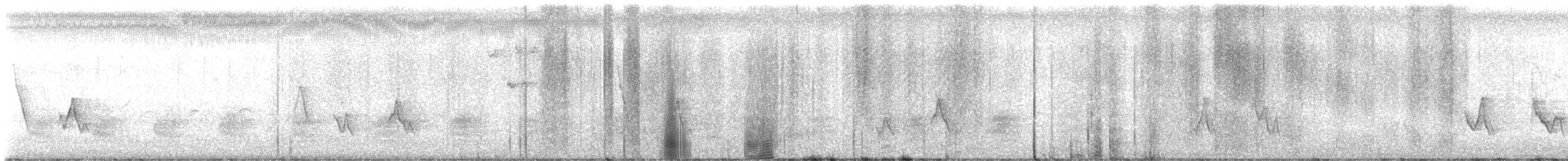 Black-whiskered Vireo - ML620099562