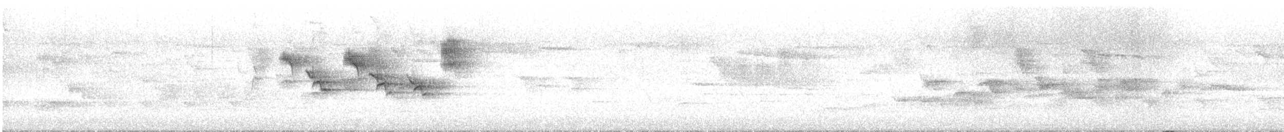 svarthvit fluesnapper - ML620099852