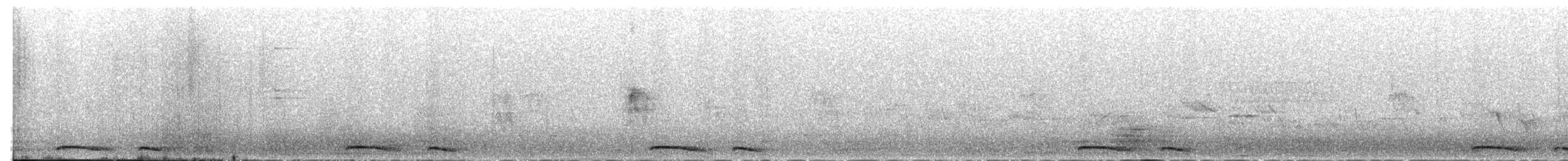 holoubek mexický - ML620099883