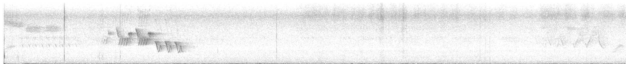 svartbrystparula - ML620099992