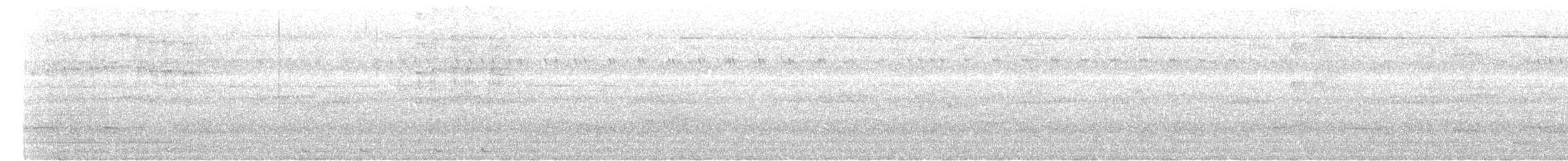 žluna jávská - ML620100001