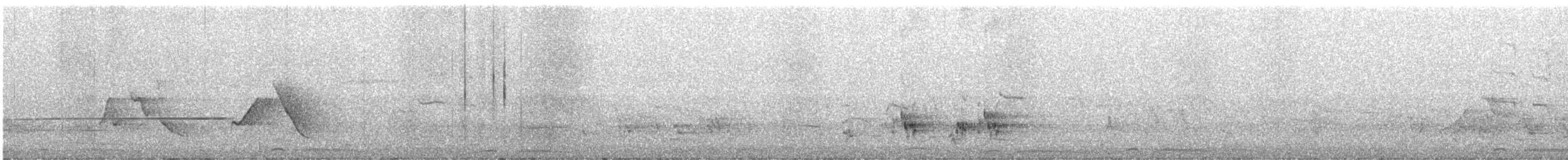 灰頭鷦鶯(sonitans) - ML620100369
