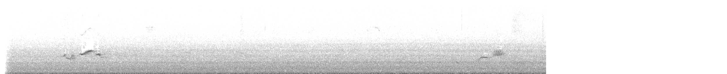 gråflanketrosteskvett - ML620101390