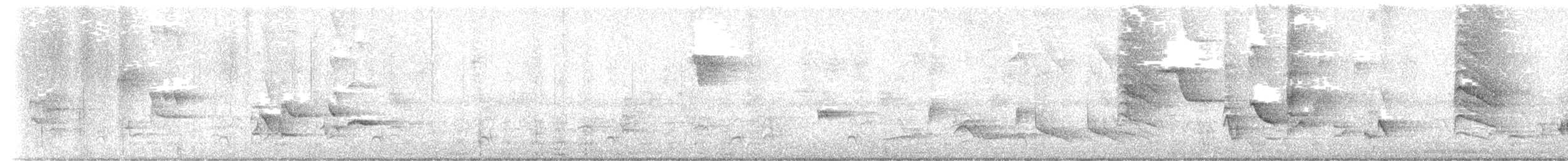 Пересмішник сірий - ML620101864