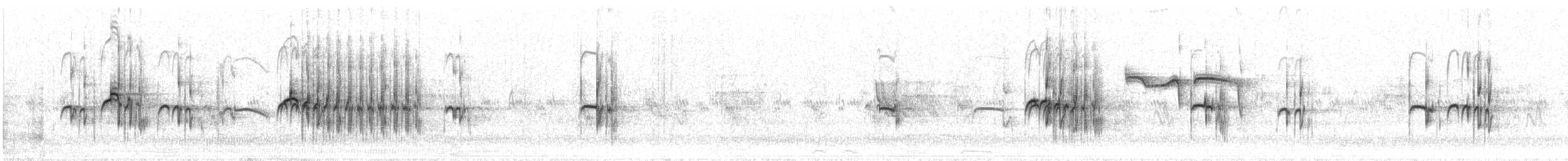 Тиранчик-тонкодзьоб північний - ML620102061