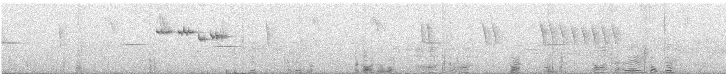 aurorafluesnapper - ML620102590