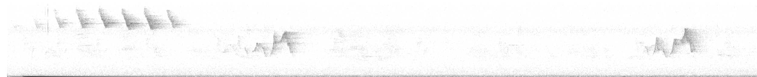 סבכון לבן-זנב - ML620103346