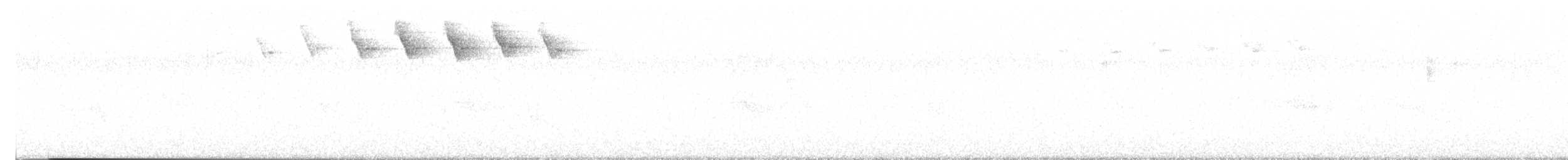 シロオビアメリカムシクイ - ML620103347